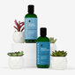 Colorsmith Protect Shampoo thumbnail