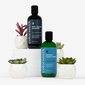 Colorsmith Anti-Yellow Shampoo thumbnail
